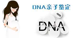 DNA亲子鉴定