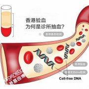 香港验血如何联系?要多少钱? 