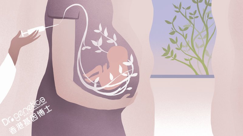 大陆孕妈到香港查血检测胎儿性别是合法的吗？