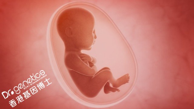 孕早期通过香港验血得知胎儿性别