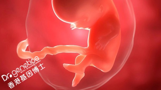 怀孕一个月怎么做胎儿亲子鉴定？