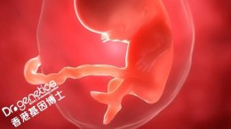 怀孕一个月怎么做胎儿亲子鉴定？ 