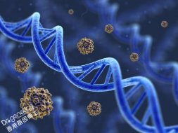 香港DNA性别鉴定染色体基因检测 