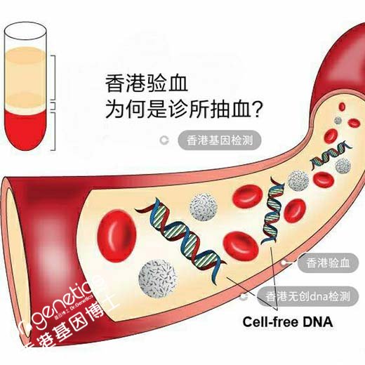 香港验血如何联系?要多少钱?