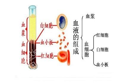 唾液可以做亲子鉴定用作样本吗