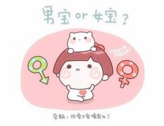 香港验血鉴定男女性别权威机构该怎样预约需什么流程条件